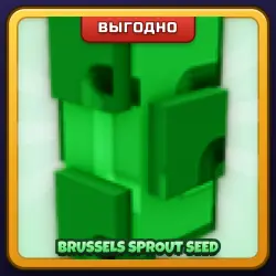 🎁 BRUSSELS SPROUT SEED | Grow a Garden | ПОДАРКОМ | Семена Брюссельской Капусты