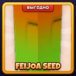 🎁 FEIJOA SEED | Grow a Garden | ПОДАРКОМ | Семена Фейхоа / Фейхоа Сид