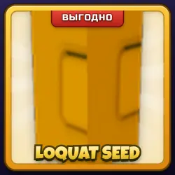 🎁 LOQUAT SEED | Grow a Garden | ПОДАРКОМ | Семена Мушмулы / Локват Сид