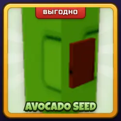 🎁 AVOCADO SEED | Grow a Garden | ПОДАРКОМ | Семена Авокадо / Авокадо Сид