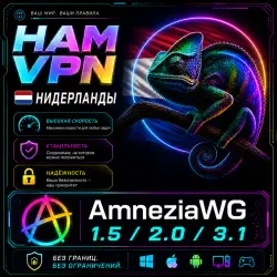 VPN NETHERLANDS AMNEZIA 2.0 PRIVATE AMNEZIAWG WORKS IN RUSSIA UNLIMITED ROUTER KEENETIC
