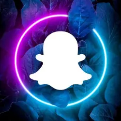 Snapchat | Fresh & Aged | Female | Email Access Included | Ready to Use | AZ