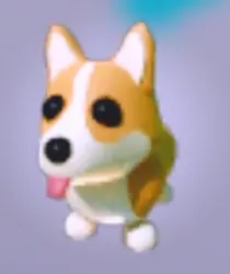 Corgi | Neon | Adopt Me!