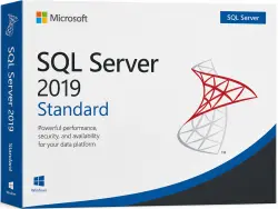 Microsoft SQL Server 2019 Standard Lifetime Key [1 Server / Global]