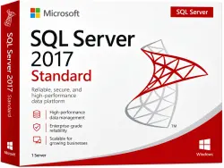 Microsoft SQL Server 2017 Standard Lifetime Key [1 Server / Global]
