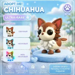 CHIHUAHUA | ADOPT ME