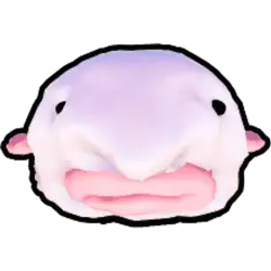 Blob fish [Uncommon] — Fish It
