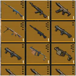 12 Gold