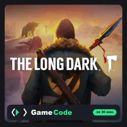 Игра The Long Dark (PS4/PS5) — цифровая, с активацией