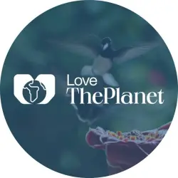 TOP LovePlanet.ru | Dating Site | Male | AS