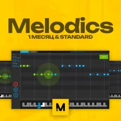 Melodics Standard | 1 MONTH • SUBSCRIPTION • WORKS IN RUSSIA
