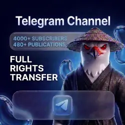 4,000 subscribers • 480+ posts since February • Ready-made content for Telegram