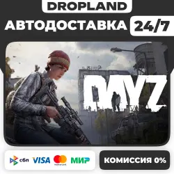 DayZ Steam - Russia+World