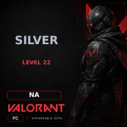 VALORANT | NA | SILVER | LEVEL 22 | PC | Changeable Data