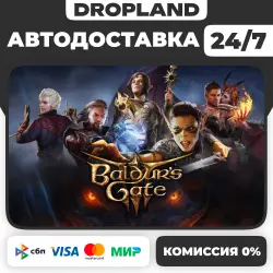Baldur's Gate 3 - Steam - Russia+World