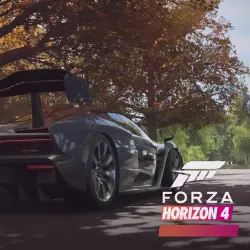 FORZA HORIZON 4 ・STEAM・PC FULL ACCESS