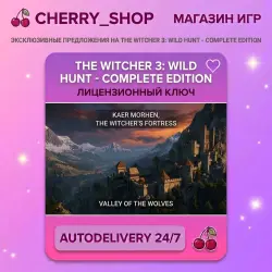 The Witcher 3: Wild Hunt - Complete Edition — STEAM AUTODELIVERY
