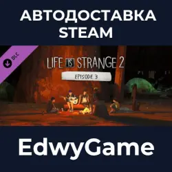 Life is Strange 2 Episode 3 · DLC STEAM GIFT · AUTO-DELIVERY