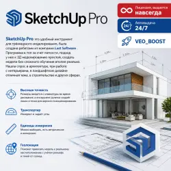 SketchUp Pro 2026/Lifetime License/Automatic Issue