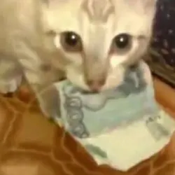 Addition Pay