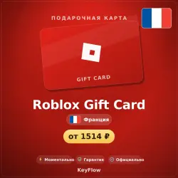 Roblox Gift Card (Франция, EUR) · 10–200, лот №207409