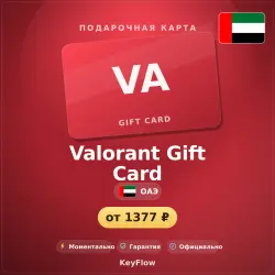 Valorant Gift Card (ОАЭ, AED) · 40–190, лот №253959