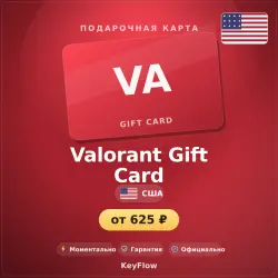 Valorant Gift Card (США, USD) · 5–100, лот №253963