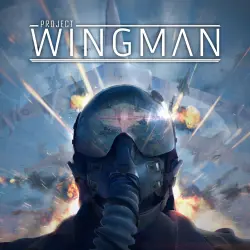 Project Wingman - НА ТВОЙ АККАУНТ XBOX