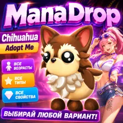 Chihuahua of any size I adopt me! I and raise your own pet.