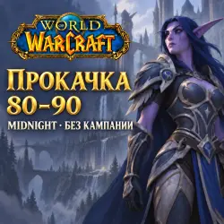 WoW Midnight: прокачка 80–90 · без кампании — World of Warcraft, лот №260496
