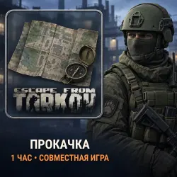 Tarkov: 1 hour of co-op level boosting