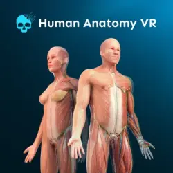 Human Anatomy VR (Meta Quest 2/3/3S/Pro) Key Global