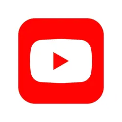 YouTube Stream + Broadcast Viewers |  Processing