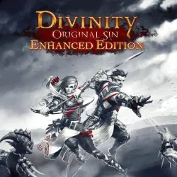 Divinity Original Sin | PS4 - PS5 | TURKEY