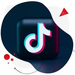 TikTok Comments | Volume to Match Your Needs |  Processing