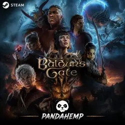 Baldur's Gate 3 | OFFLINE ACTIVATION | STEAM