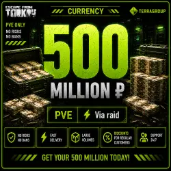 500,000,000 ₽ | PVE | Raid Transfer