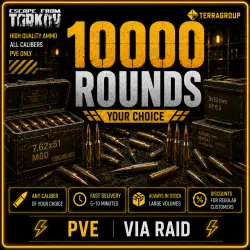 10,000 Any Ammo | PVE | Any Caliber | Raid Transfer