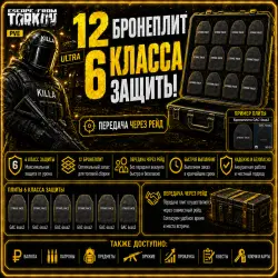 12 бронеплит 6 класса | Передача через рейд | EFT PvE — Escape from Tarkov, лот №260566