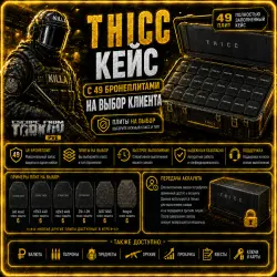 T H I C C кейс с 49 бронеплитами | На выбор | EFT PvE — Escape from Tarkov, лот №260567