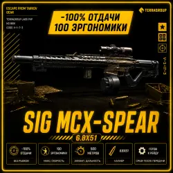 SIG MCX-SPEAR | -100 ОТДАЧИ | 100 ЭРГОНОМИКИ | 6.8x51 — Escape from Tarkov, лот №260574