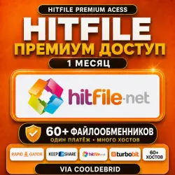 NitroFlare Premium | 1 месяц