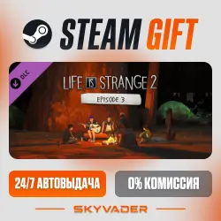 Life is Strange 2 - Episode 3 DLC Steam Gift AUTO-DELIVERY RUSSIA + CIS