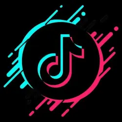 TikTok comments with a premium user option.