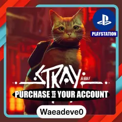 Stray – PlayStation (PSN) Укр. UA – Purchase in Your Account