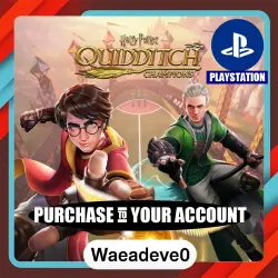Harry Potter: Quidditch Champions PS4/PS5 – PlayStation (PSN) Укр. UA – Purchase in Your Account