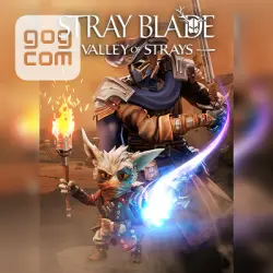 Stray Blade – Valley of Strays (GOG) — покупка игры на ваш аккаунт
