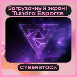 Загрузочный экран | Tundra Esports | ОТПРАВКА ТРЕЙДОМ — Dota 2, лот №254039