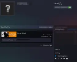 CS2 + Prime / 5 + 10 Year Veteran Coin,Loyalty Badge / 20 August 2015 reg / Steam /Full Access