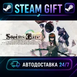 STEINS;GATE · STEAM GIFT · AUTO-DELIVERY